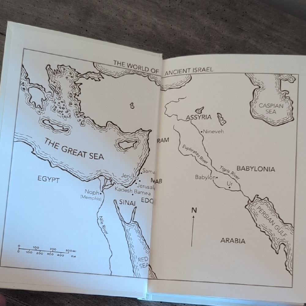 The Story NIV Bible - Picture 3 of 7